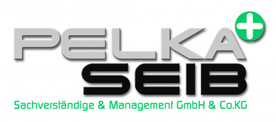 PELKA + SEIB Sachverständige & Management GmbH & Co. KG
